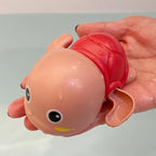 Tartaruga e Baleia de Banho
