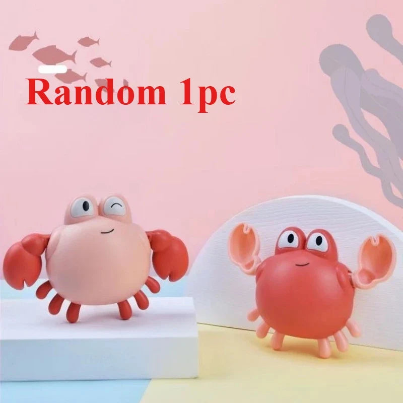 Tartaruga e Baleia de Banho