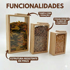 Kit 3 Porta Alimentos Organizador Pinus Ecológico Prático